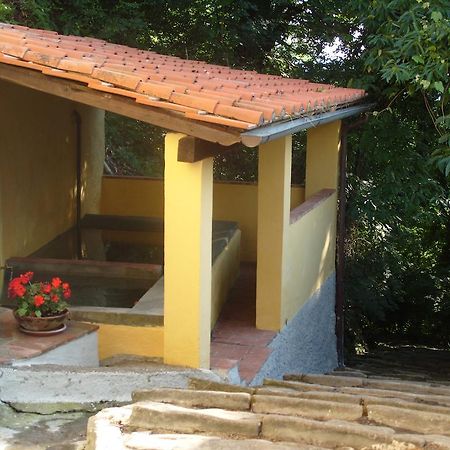 Il Podere Di Giada Bed & Breakfast Bagni di Lucca Dış mekan fotoğraf